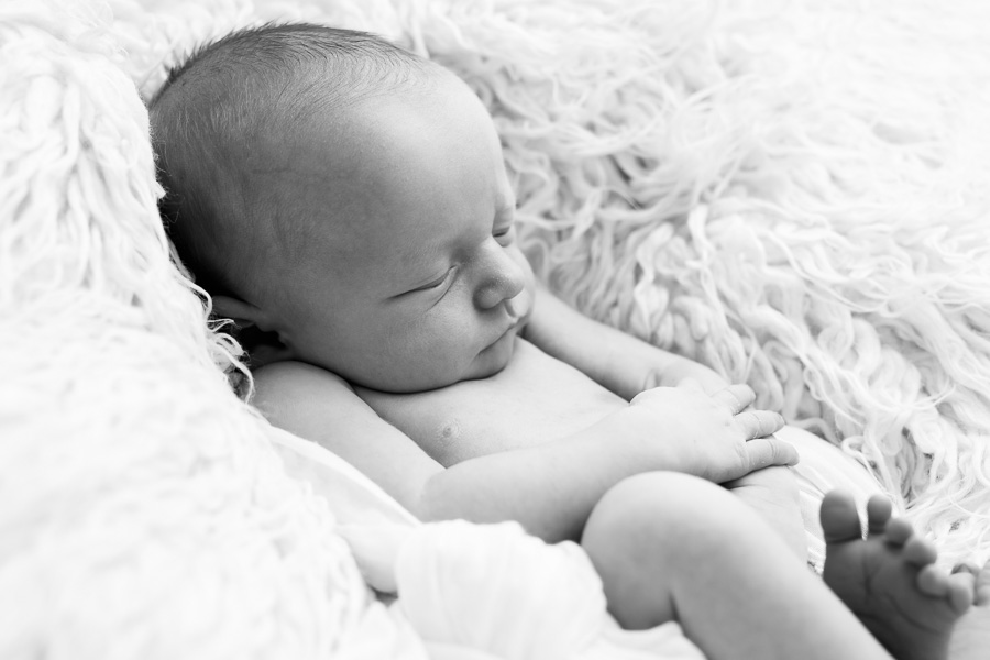 frans nyfödd nyföddfotografering nyföddfotograf sundsvall matfors