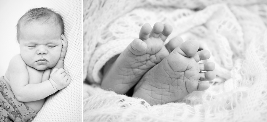 fröjdis nyfödd nyföddfotografering nyföddfotograf sundsvall matfors fotograf