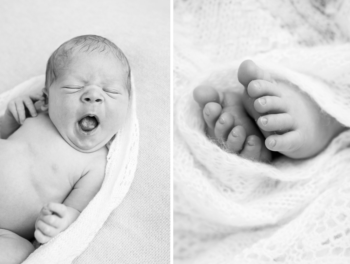 nyföddfotografering nyföddfotograf lisa hulling matfors fotograf